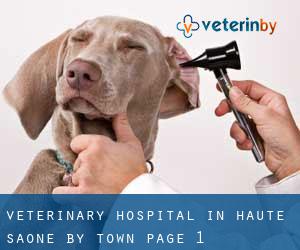 Veterinary Hospital in Haute-Saône by town - page 1