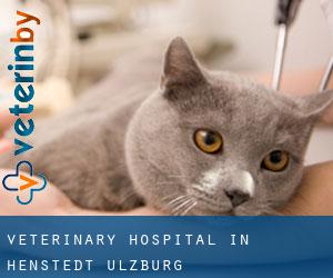 Veterinary Hospital in Henstedt-Ulzburg