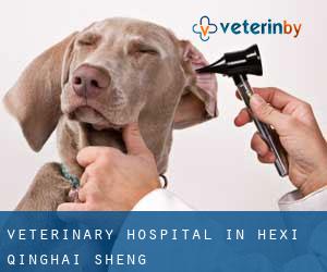 Veterinary Hospital in Hexi (Qinghai Sheng)