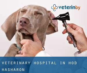 Veterinary Hospital in Hod HaSharon
