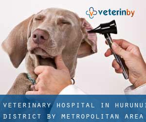 Veterinary Hospital in Hurunui District by metropolitan area - page 1