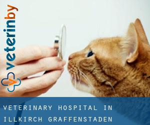 Veterinary Hospital in Illkirch-Graffenstaden