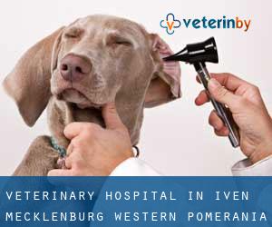 Veterinary Hospital in Iven (Mecklenburg-Western Pomerania)