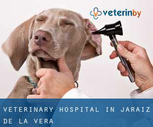 Veterinary Hospital in Jaraiz de la Vera
