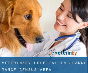 Veterinary Hospital in Jeanne-Mance (census area)