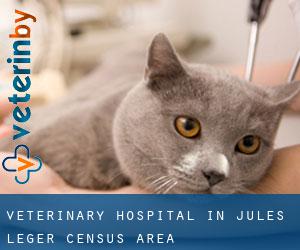 Veterinary Hospital in Jules-Léger (census area)