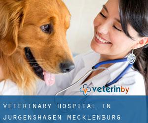 Veterinary Hospital in Jürgenshagen (Mecklenburg-Western Pomerania)