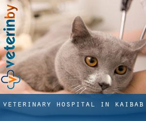 Veterinary Hospital in Kaibab