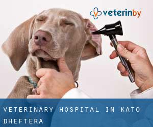 Veterinary Hospital in Kato Dheftera