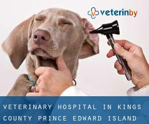Veterinary Hospital in Kings County (Prince Edward Island)