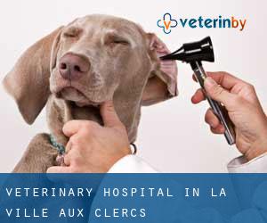 Veterinary Hospital in La Ville-aux-Clercs