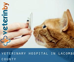 Veterinary Hospital in Lacombe County