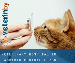 Veterinary Hospital in Lambakin (Central Luzon)