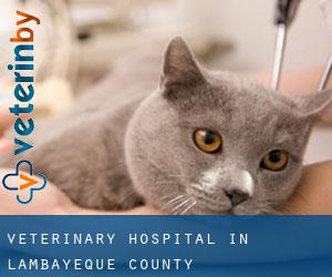 Veterinary Hospital in Lambayeque (County)