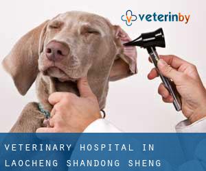 Veterinary Hospital in Laocheng (Shandong Sheng)