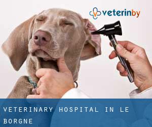 Veterinary Hospital in Le Borgne