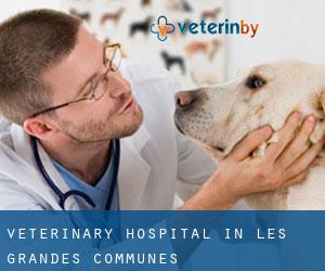 Veterinary Hospital in Les Grandes-Communes