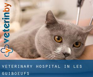 Veterinary Hospital in Les Guiboeufs