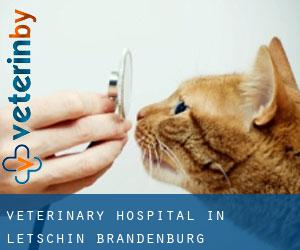 Veterinary Hospital in Letschin (Brandenburg)