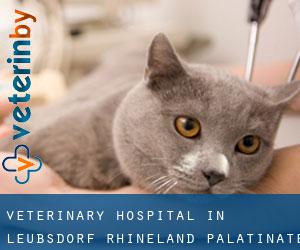 Veterinary Hospital in Leubsdorf (Rhineland-Palatinate)
