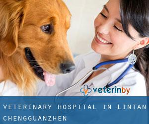 Veterinary Hospital in Lintan Chengguanzhen
