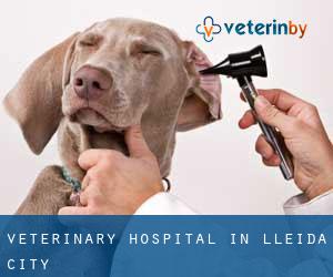 Veterinary Hospital in Lleida (City)