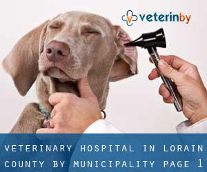 Veterinary Hospital in Lorain County by municipality - page 1