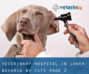 Veterinary Hospital in Lower Bavaria by city - page 2