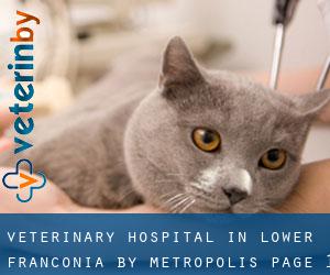 Veterinary Hospital in Lower Franconia by metropolis - page 1