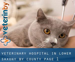 Veterinary Hospital in Lower Saxony by County - page 1