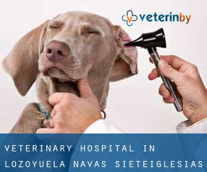 Veterinary Hospital in Lozoyuela-Navas-Sieteiglesias