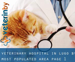 Veterinary Hospital in Lugo by most populated area - page 1