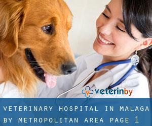 Veterinary Hospital in Malaga by metropolitan area - page 1