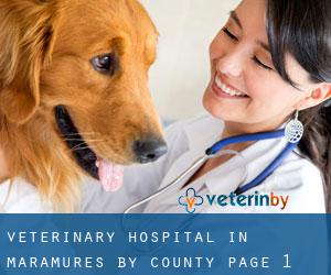Veterinary Hospital in Maramureş by County - page 1