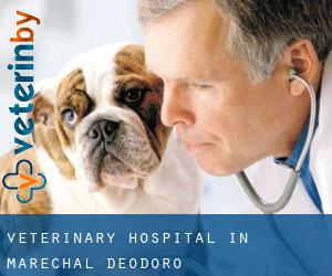 Veterinary Hospital in Marechal Deodoro
