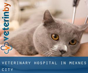 Veterinary Hospital in Meknes (City)