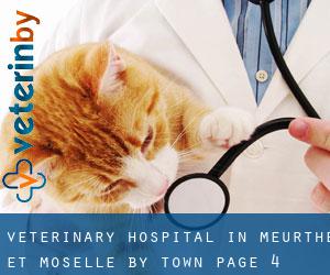 Veterinary Hospital in Meurthe et Moselle by town - page 4