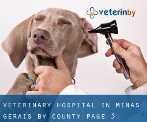 Veterinary Hospital in Minas Gerais by County - page 3