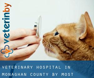 Veterinary Hospital in Monaghan County by most populated area - page 1