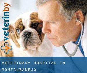 Veterinary Hospital in Montalbanejo