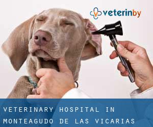 Veterinary Hospital in Monteagudo de las Vicarías
