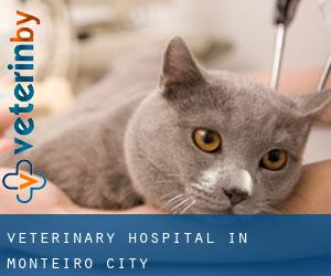 Veterinary Hospital in Monteiro (City)