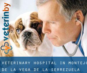 Veterinary Hospital in Montejo de la Vega de la Serrezuela