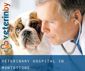 Veterinary Hospital in Montottone