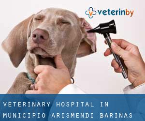 Veterinary Hospital in Municipio Arismendi (Barinas)