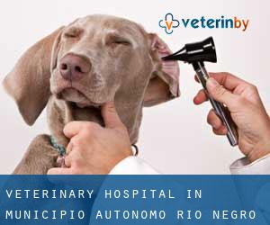 Veterinary Hospital in Municipio Autónomo Río Negro