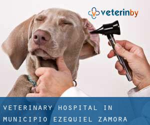 Veterinary Hospital in Municipio Ezequiel Zamora (Monagas)