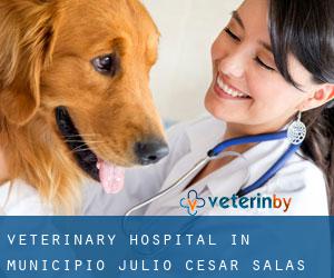 Veterinary Hospital in Municipio Julio César Salas