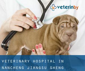 Veterinary Hospital in Nancheng (Jiangsu Sheng)
