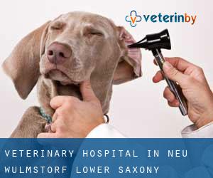 Veterinary Hospital in Neu Wulmstorf (Lower Saxony)